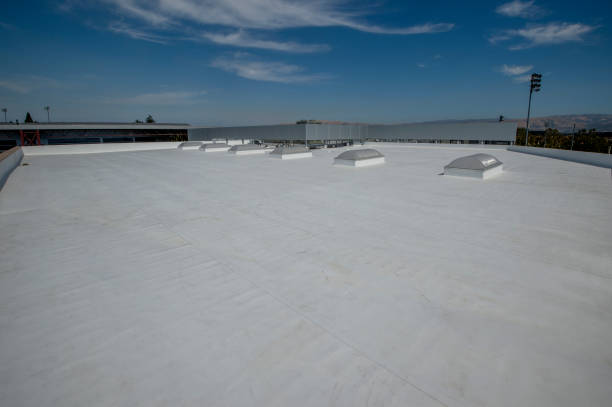 Best Roof Coating and Sealing  in Broomall, PA
