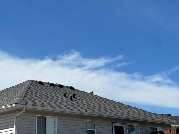 Best Roof Moss and Algae Removal  in Broomall, PA